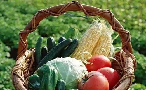 热门大瓜每日必吃大瓜 吃瓜蒙主间谍身份解析,间谍身份背后的真相与阴谋