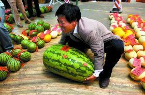 热门大瓜每日大赛